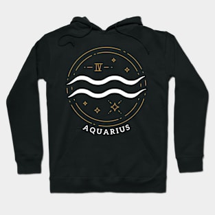 Aquarius Zodiac Sign Horoscope Present Gift for Birthday Hoodie